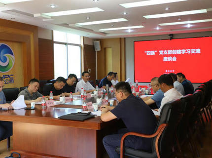 澧水公司開展“四強”黨支部創建學習交流活動
