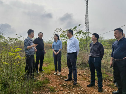 陳印輝帶隊考察調研衡陽縣新能源項目