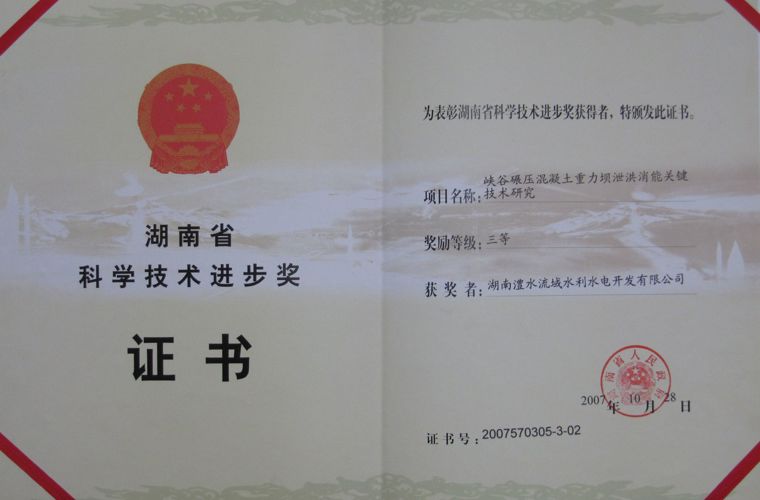 湖南省科學技術進步三等獎